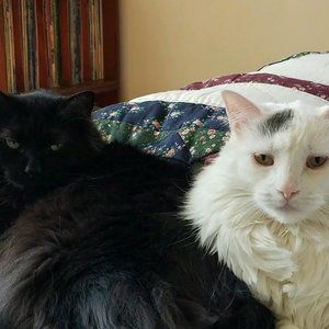 Meet your Posher, Deb